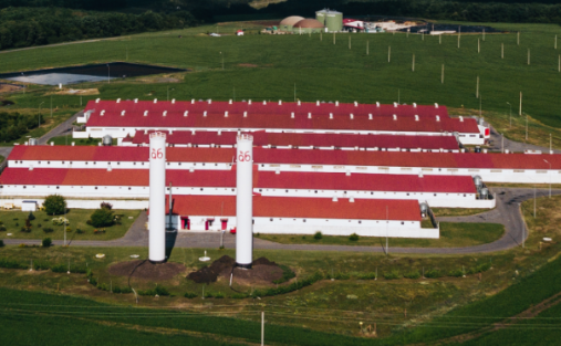 ООО «ГК Агро-Белогорье»